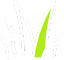 Grass icon